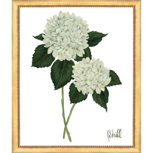 KS- HYDRANGEA BLOOMS 5